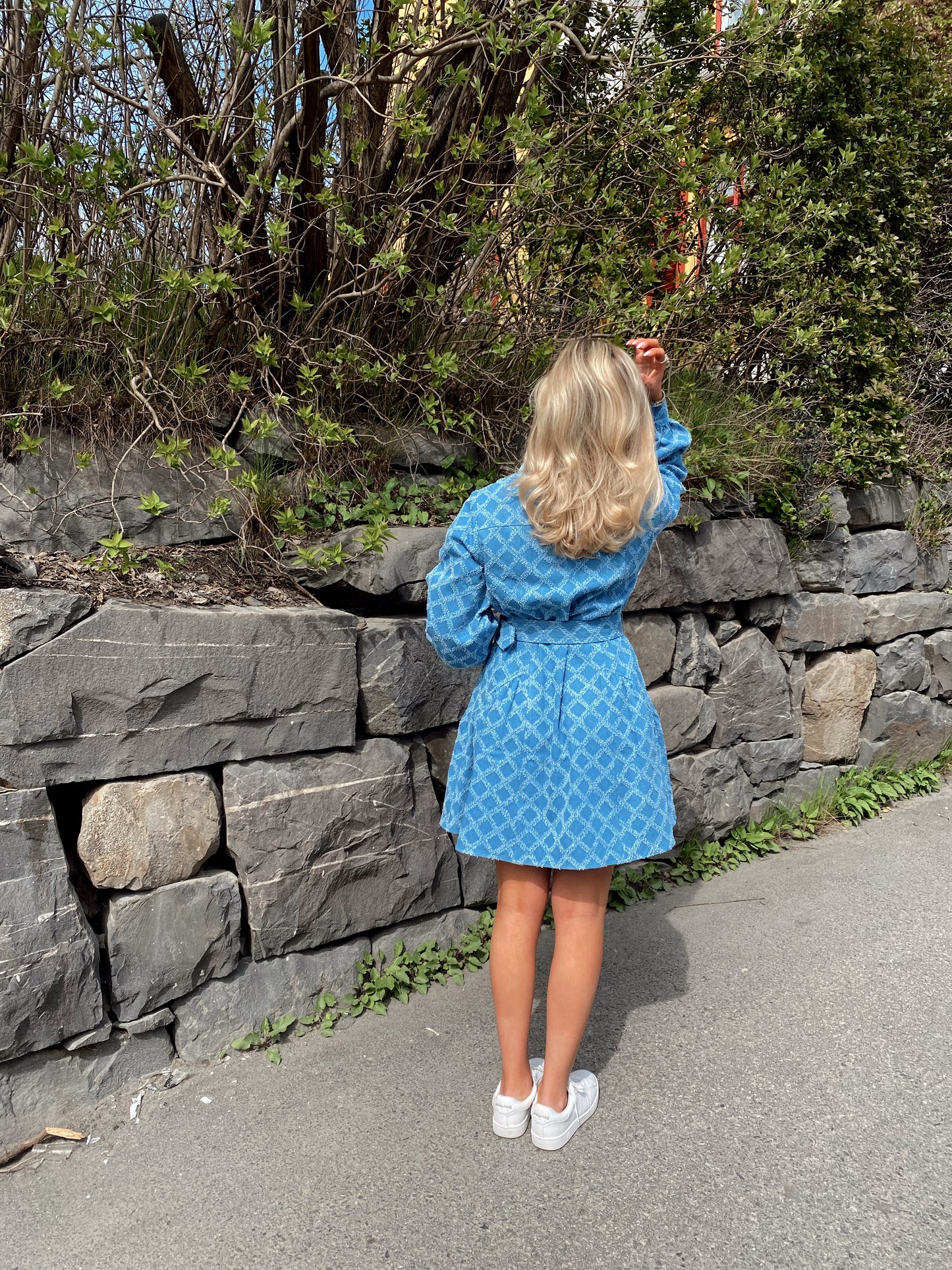 Zarah dress