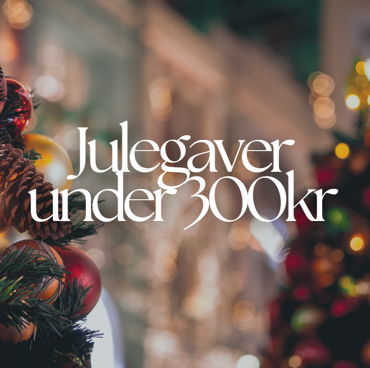Julegaver under 300kr