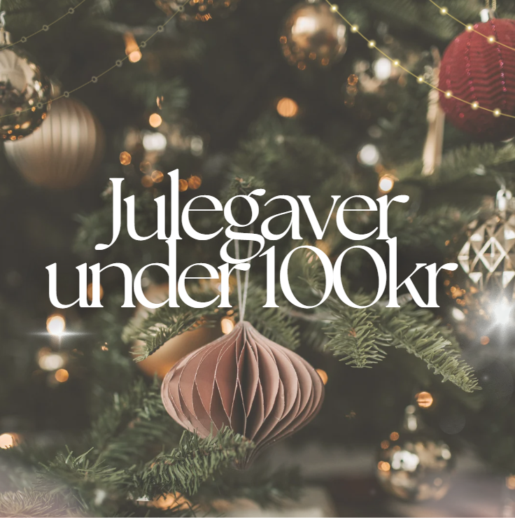 Julegaver under 100kr