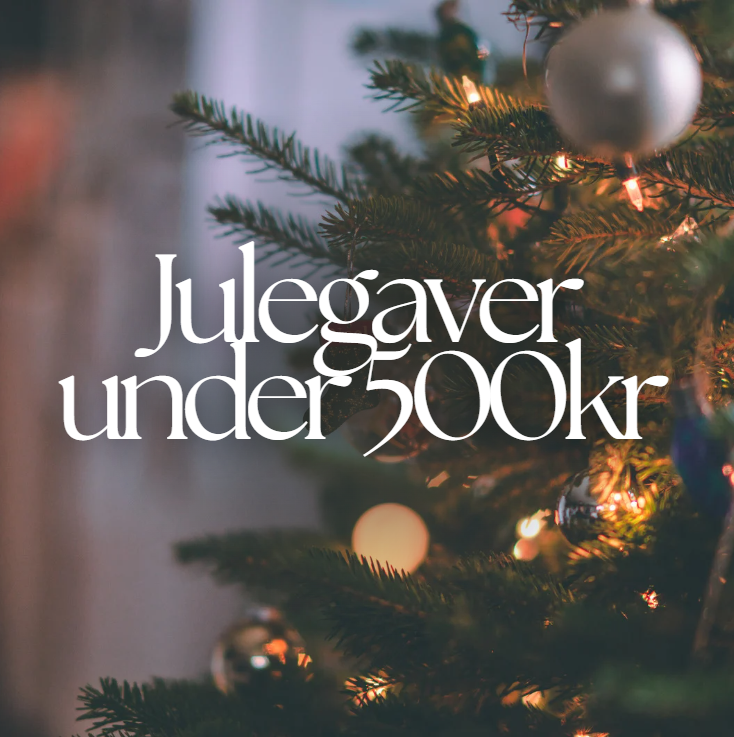 Julegaver Under 500kr