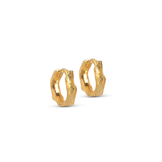 Everly Hoops-Gold