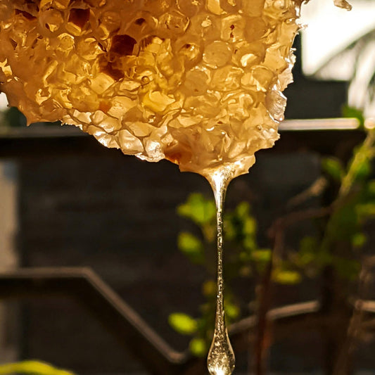 HONEYTRAP